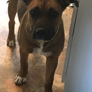 Fundraising Page: Rhiannon Huzarewich